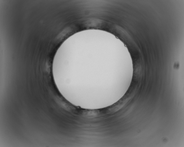 X0000100380282200807031932