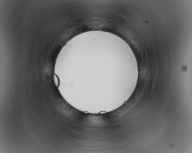 X0000100380283200807031932