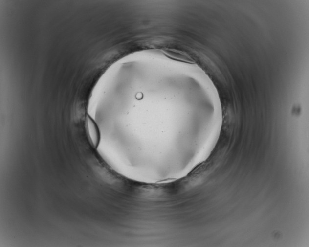 X0000100380284200807031932