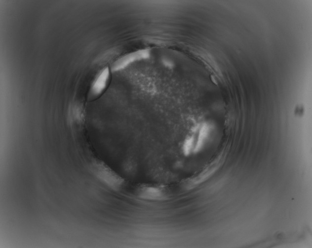 X0000100380285200807031932