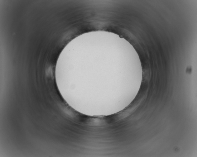 X0000100380286200807031932