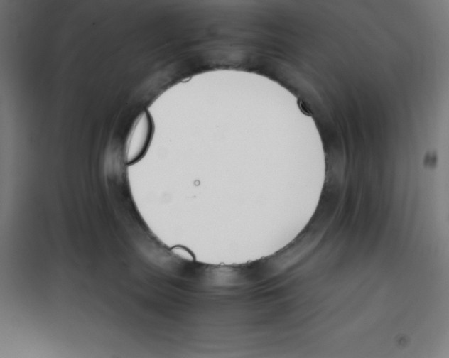 X0000100380287200807031932
