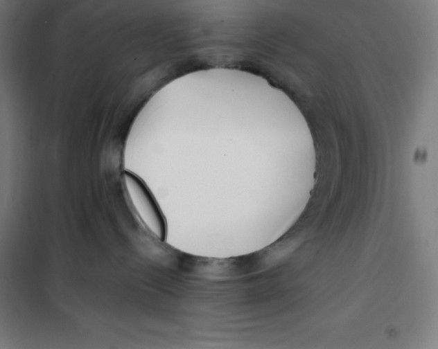 X0000100380288200807031932