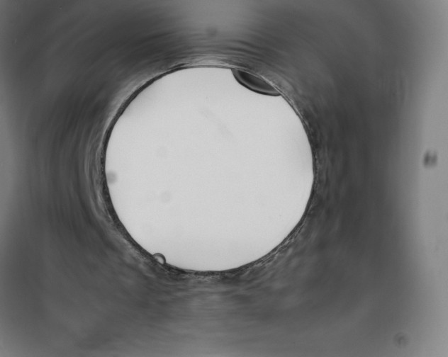 X0000100380289200807031932