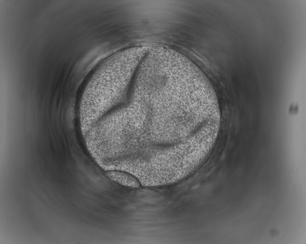 X0000100380290200807031932