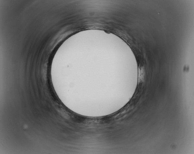 X0000100380291200807031932