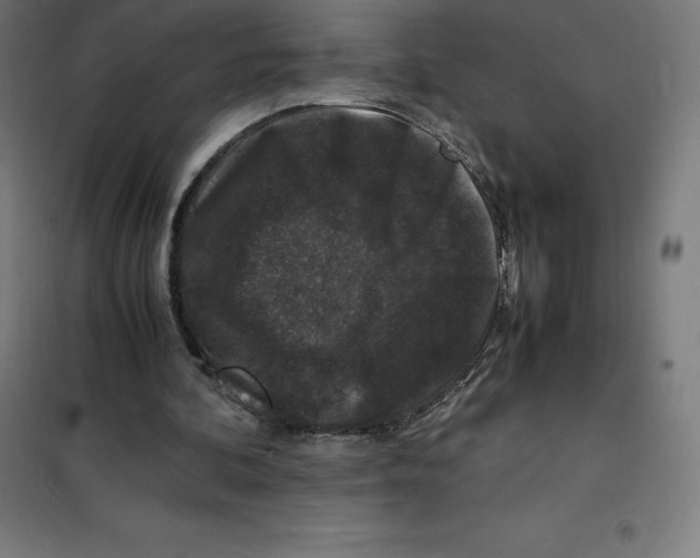 X0000100380292200807031932