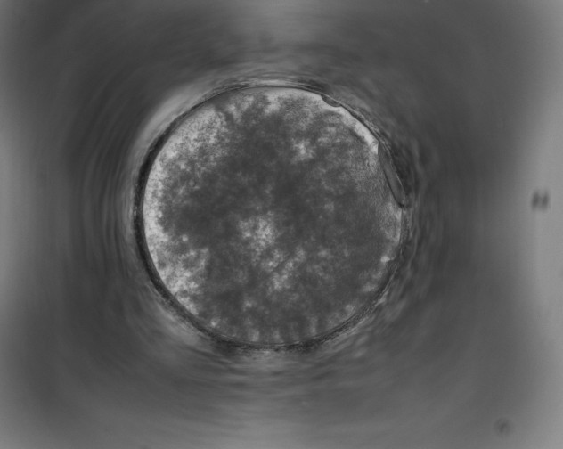X0000100380293200807031932