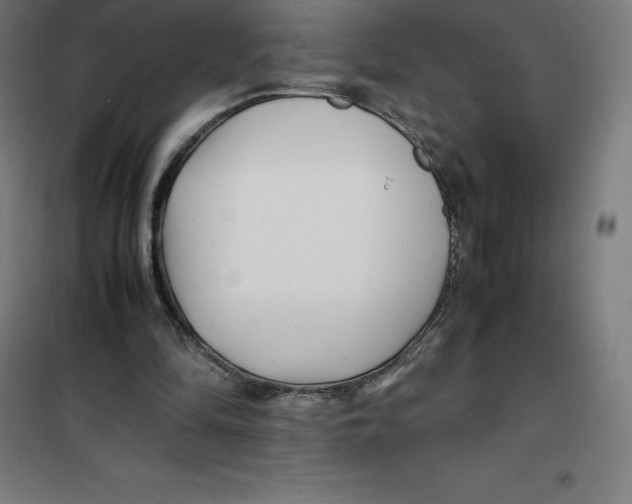 X0000100380294200807031932
