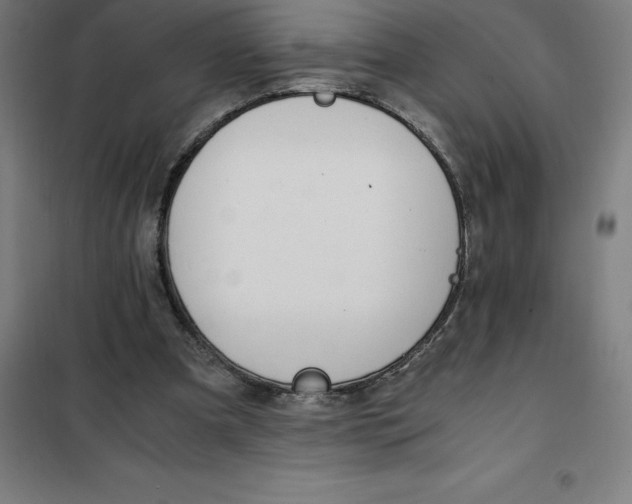 X0000100380297200807031932