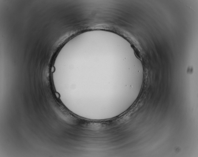 X0000100380298200807031932