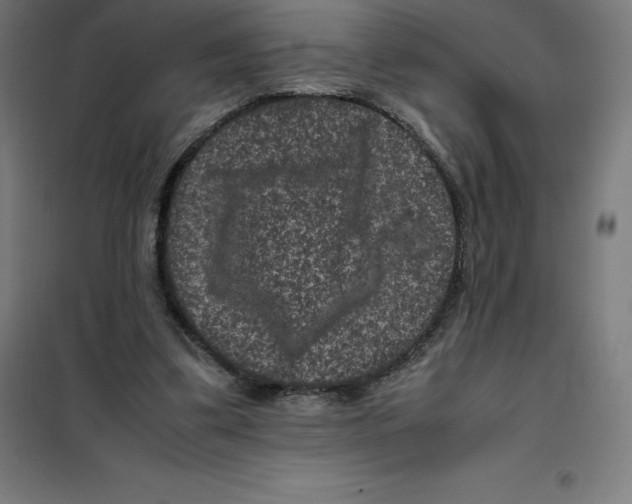 X0000100380299200807031932