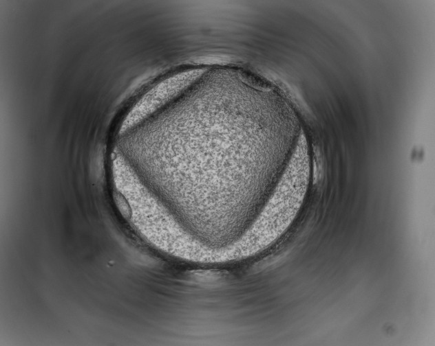 X0000100380300200807031932