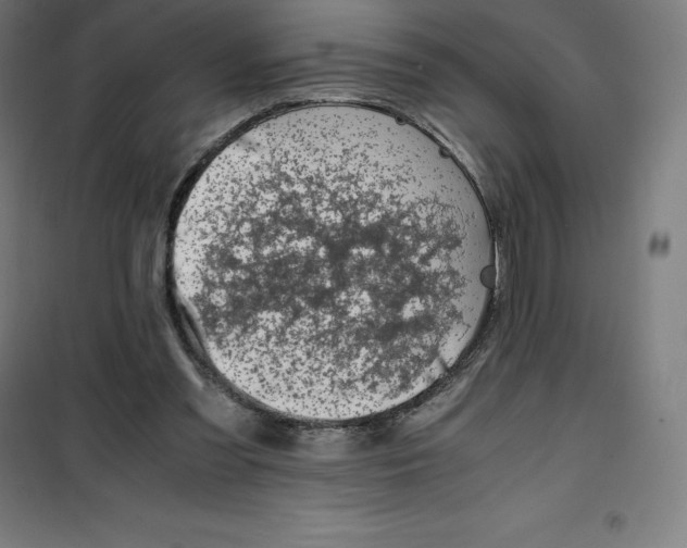 X0000100380301200807031932