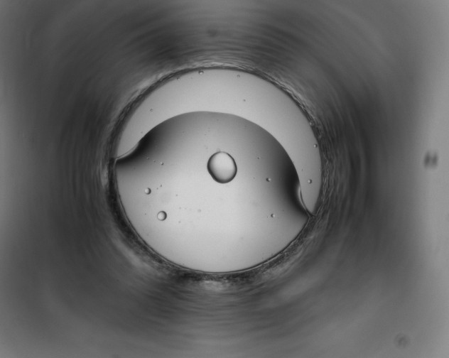 X0000100380302200807031932