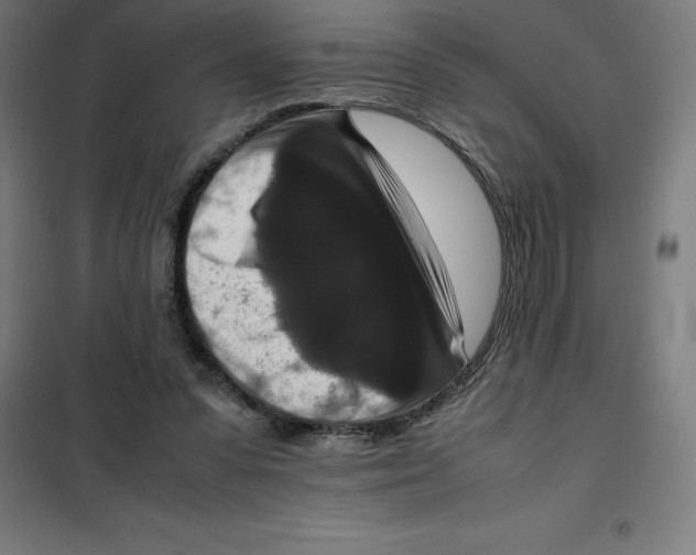 X0000100380303200807031932