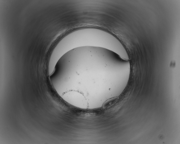 X0000100380304200807031932
