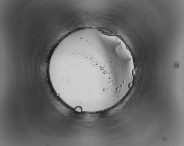 X0000100380305200807031932