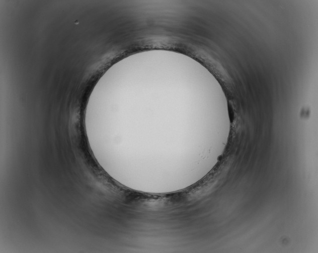 X0000100380306200807031932
