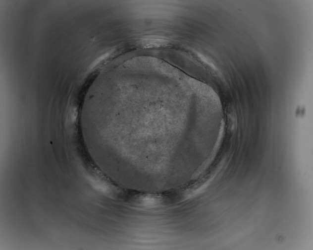 X0000100380308200807031931