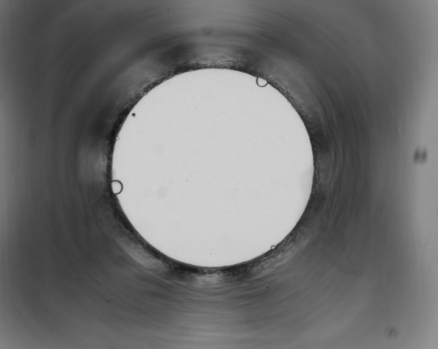 X0000100380309200807031931