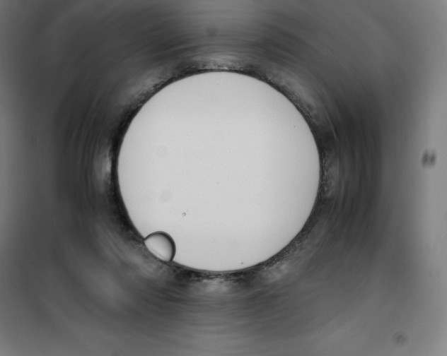 X0000100380310200807031931
