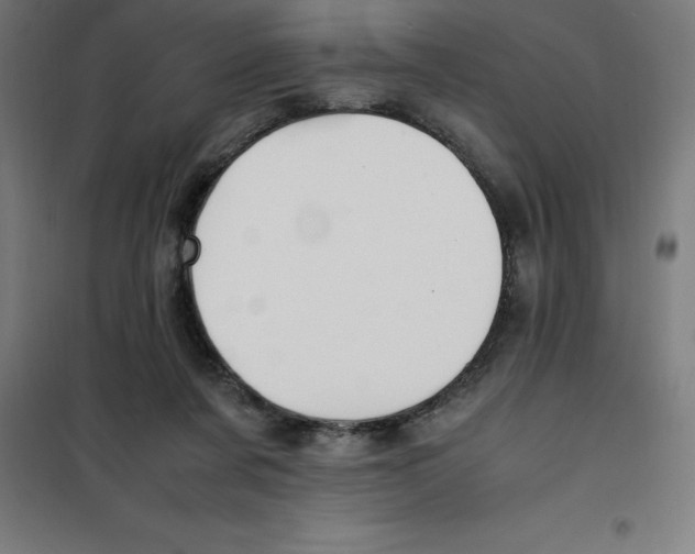 X0000100380311200807031931