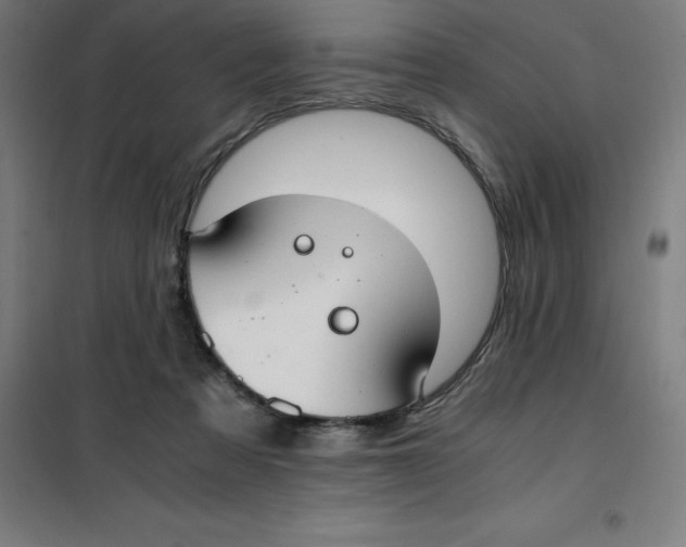 X0000100380313200807031931