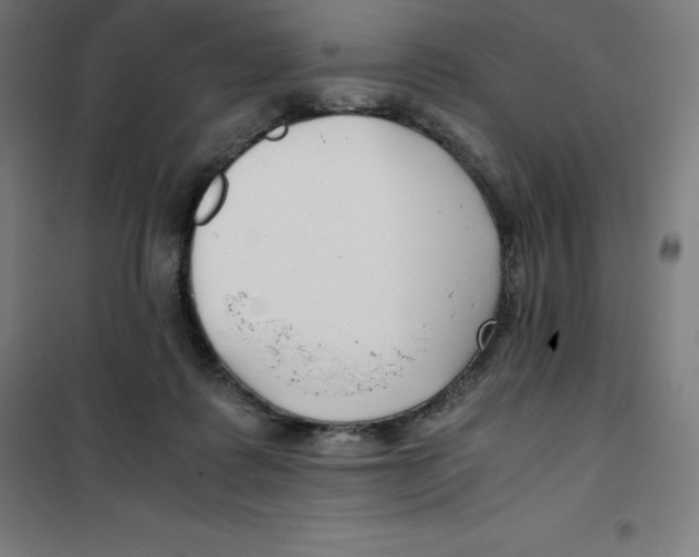 X0000100380315200807031931