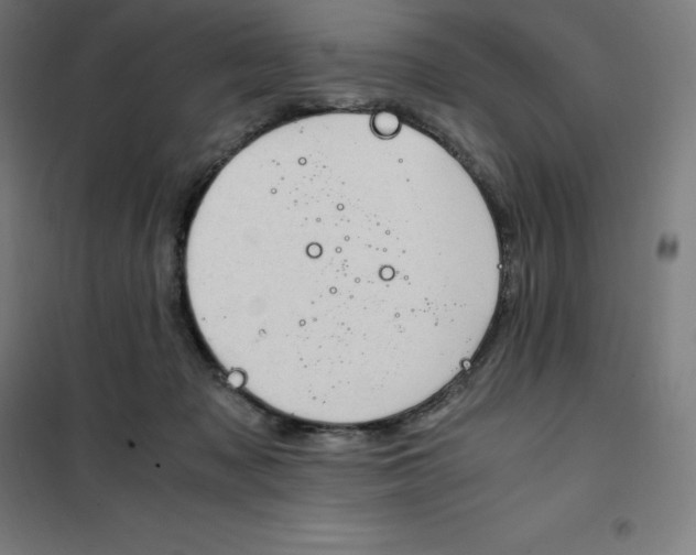 X0000100380317200807031931