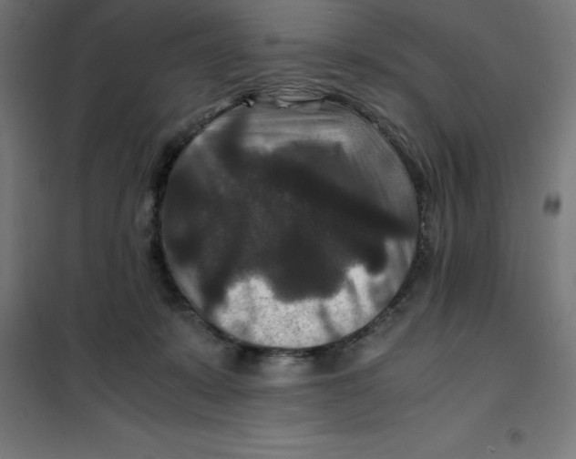 X0000100380319200807031931