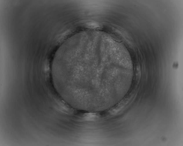 X0000100380320200807031931