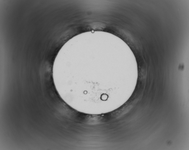 X0000100380321200807031931