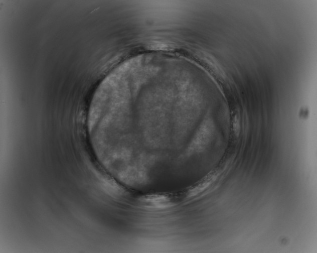 X0000100380322200807031931