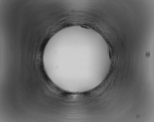 X0000100380323200807031931