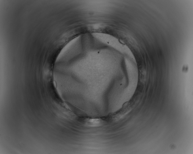 X0000100380324200807031931
