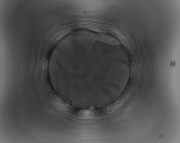 X0000100380325200807031931