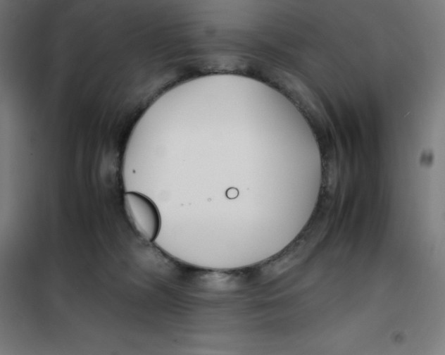 X0000100380326200807031931