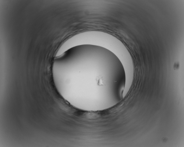 X0000100380327200807031931