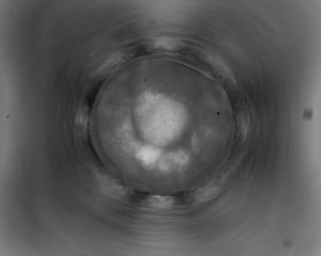 X0000100380328200807031931
