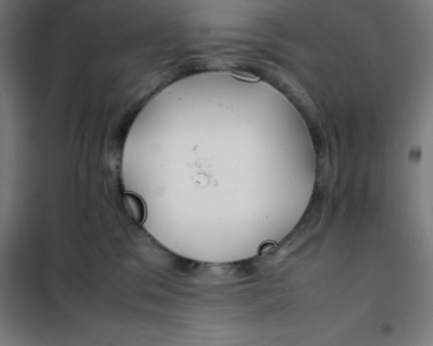 X0000100380329200807031931