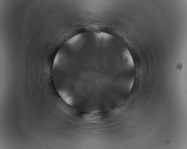 X0000100380331200807031931