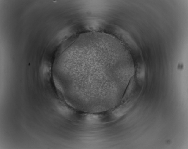 X0000100380332200807031931