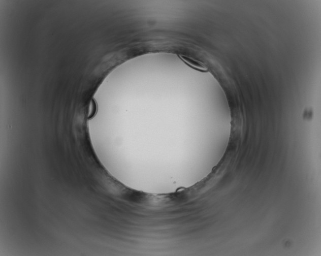 X0000100380333200807031931