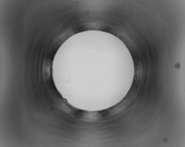 X0000100380334200807031931