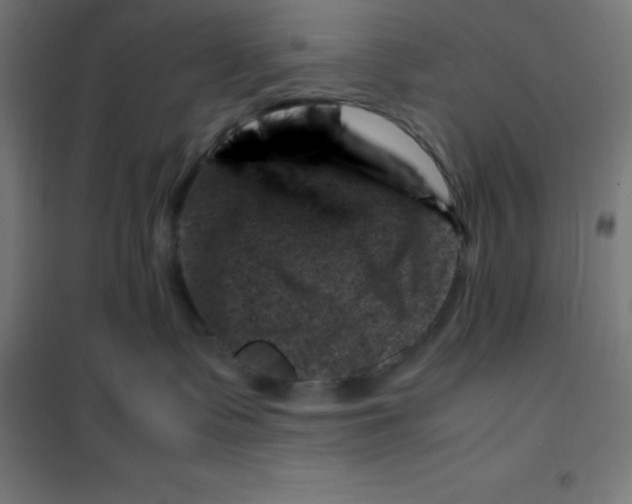 X0000100380335200807031931