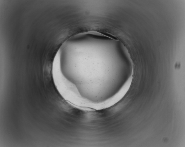 X0000100380336200807031931