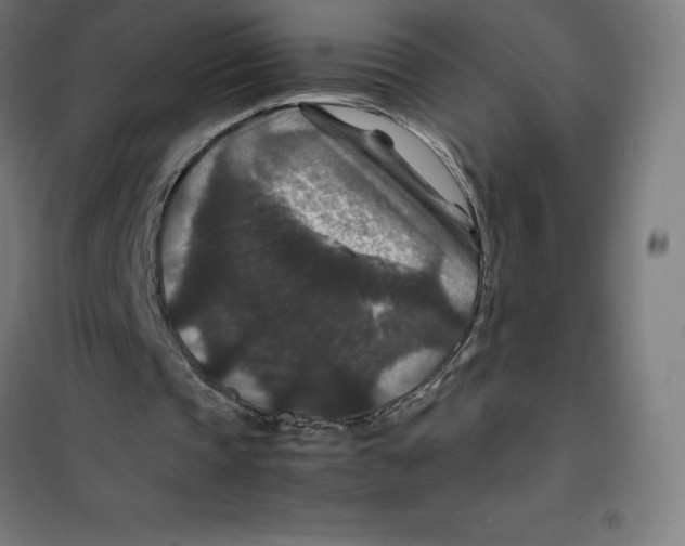 X0000100380337200807031930