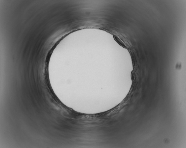 X0000100380338200807031930