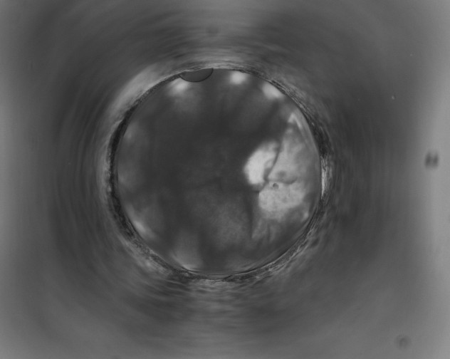 X0000100380339200807031930